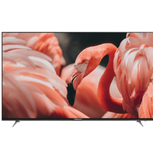 تلویزیون اسمارت مدل PANA65E750 | زلموند