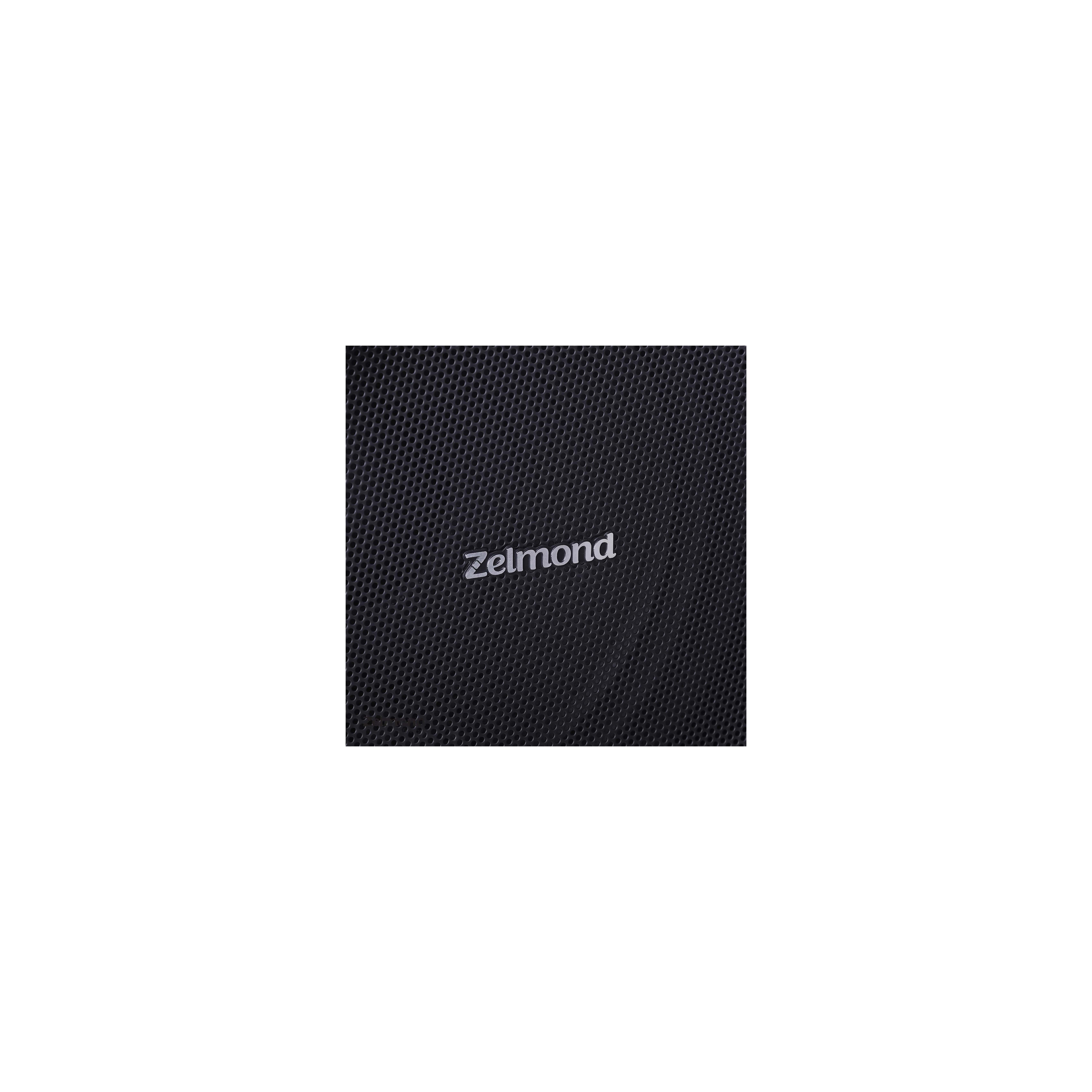 speaker – zelmond (18)-min