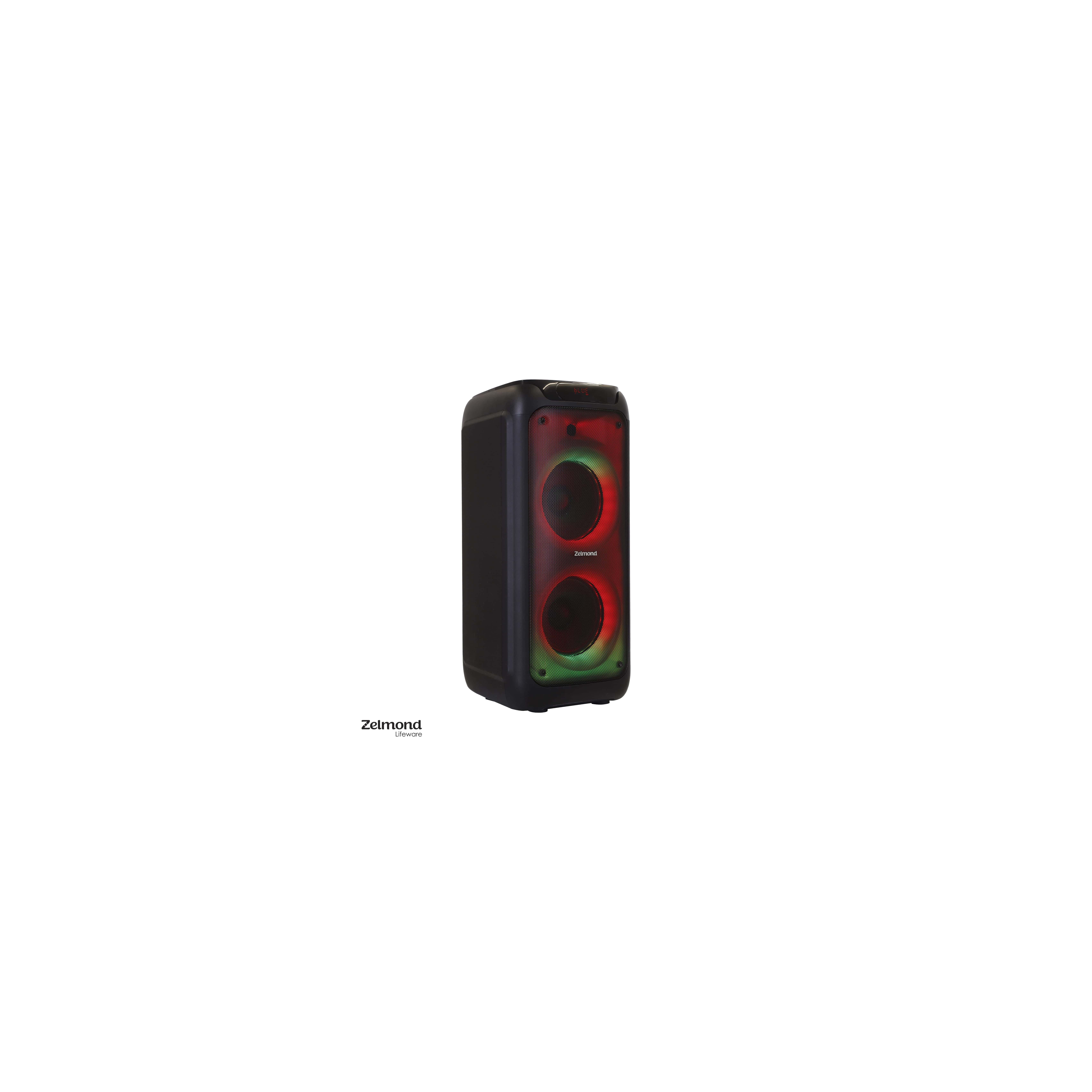 zelmond-speaker (10)-min