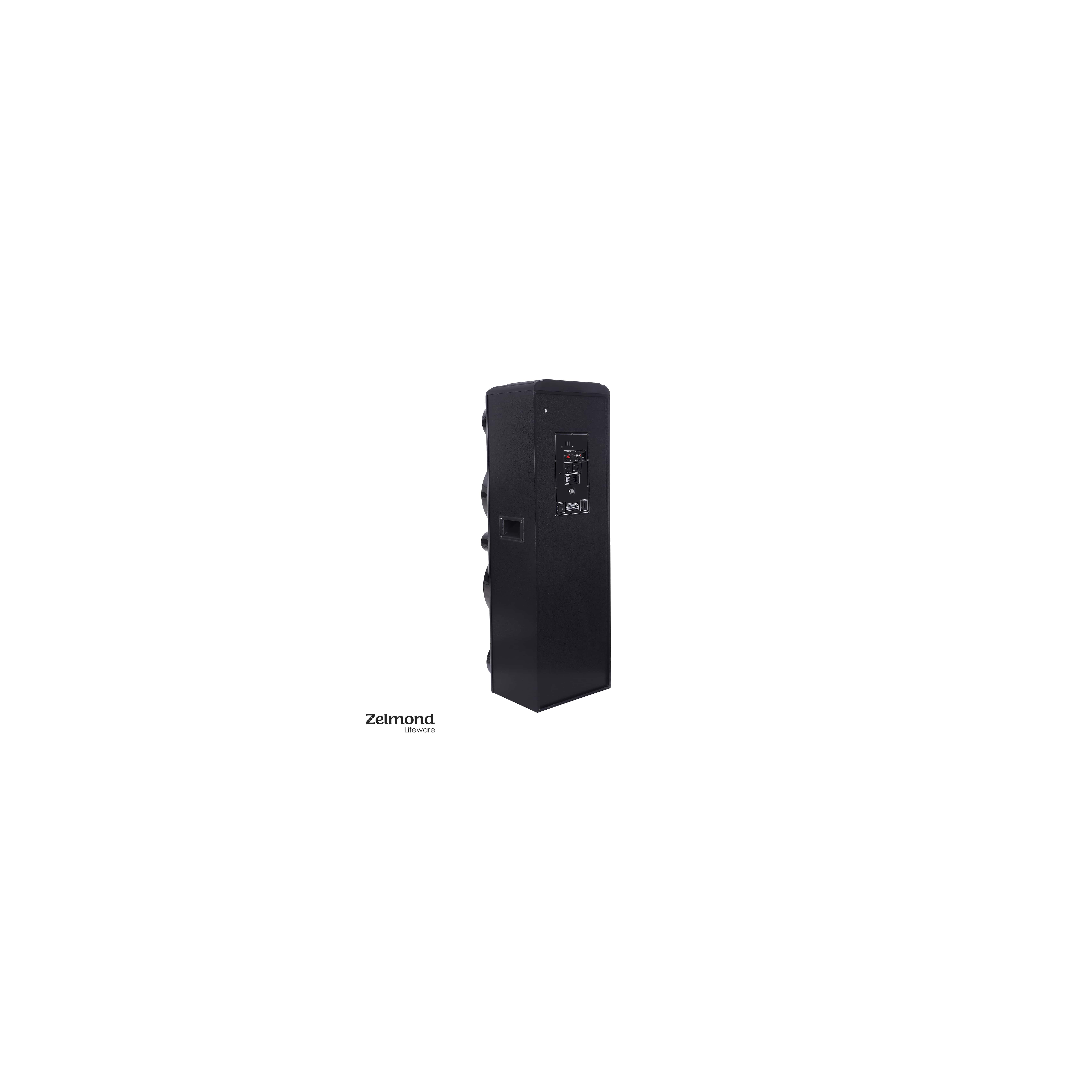 zelmond-speaker (4)-min