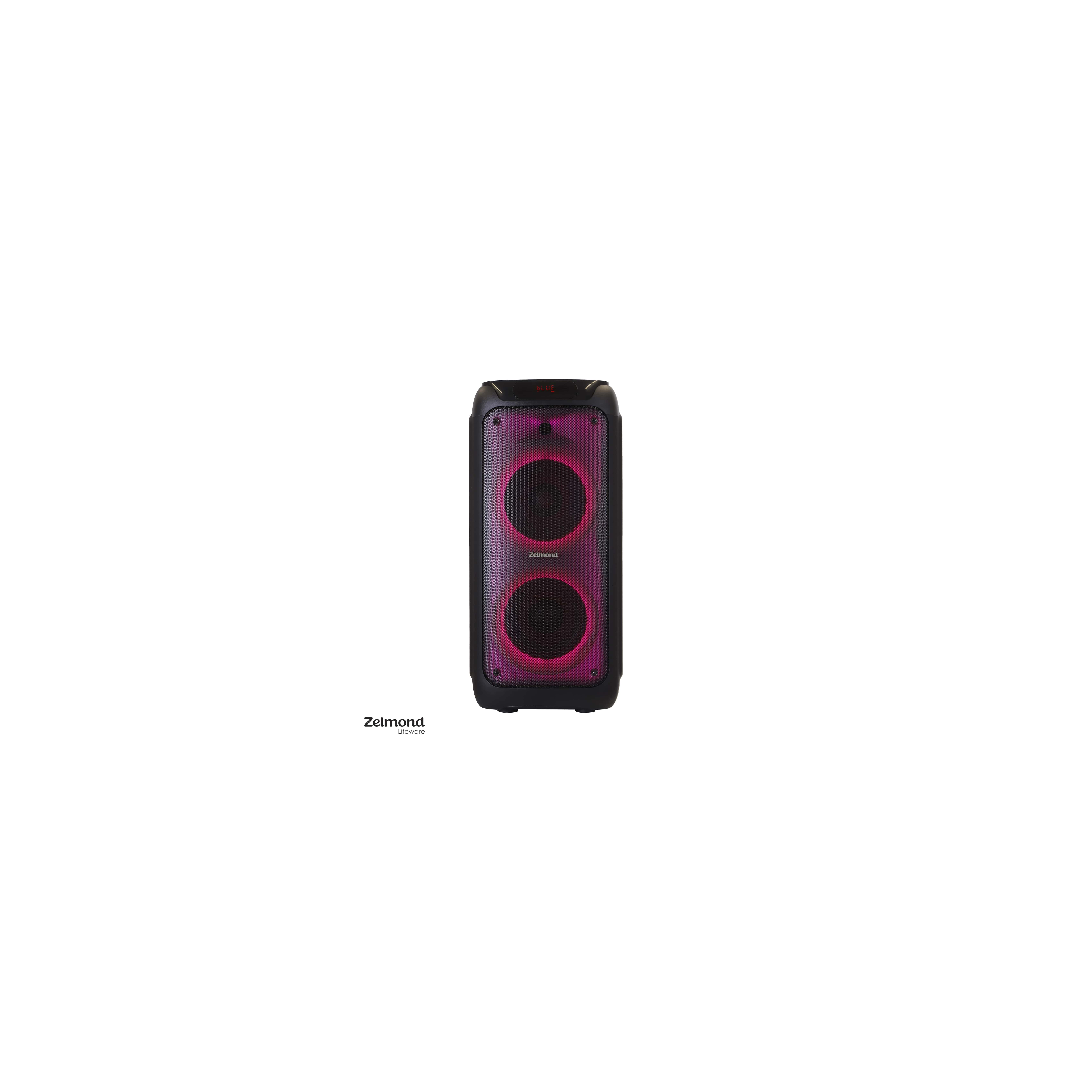 zelmond-speaker (8)-min